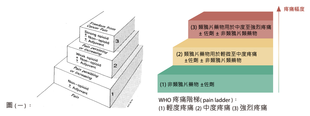 WHO疼痛階梯